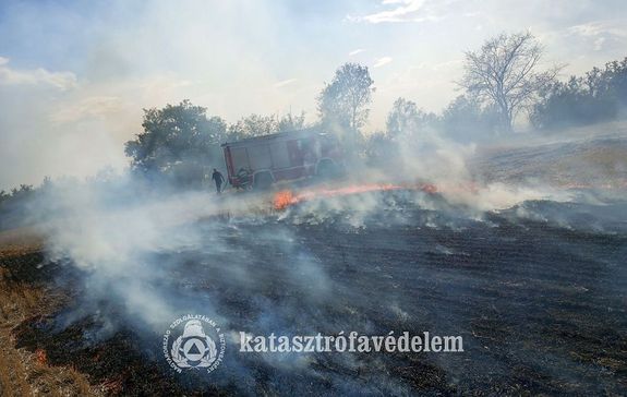 Mintegy h�rom hekt�ron �gett legel�, b�zatarl� �s boz�tos tegnap, d�lut�n, Gyul�n. K�pek forr�sa: B�k�s V�rmegyei Katasztr�fav�delmi Igazgat�s�g   