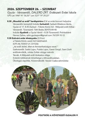 A szombati nap plak�tjai a programokkal. K�pek: Szervez�k