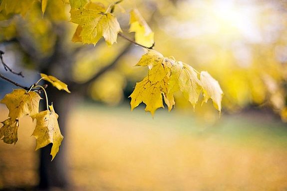  A h�m�rs�klet 21-25 Celsius-fok k�z�tt alakul a legmelegebb �r�kban, de a reggelek cs�p�sek lesznek. A k�p illusztr�ci�. K�p: Pixabay   