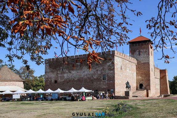 A k�peken az �t gyulai ki�ll�t�hely, az Alm�sy-kast�ly, a Gyulai V�r, a Koh�n K�pt�r, a Ladics-h�z, �s az Erkel Ferenc Eml�kh�z. K�pek forr�sa: Facebook-oldalaik