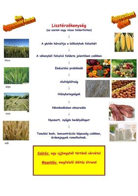 T�j�koztat�k a liszt�rz�kenys�gr�l �s a sz�r�sr�l. K�pek forr�sa: Szervez�k
