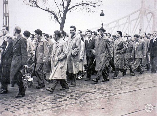 K�pek az  '56 jelent�sei: amat�r f�nyk�pek, visszaeml�kez�sek c�m� t�rlatr�l. K�pek: MTI / Szigetv�ry Zsolt